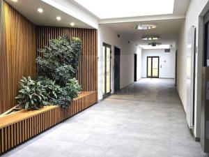 Pronájem bytu 2+kk, Praha - Smíchov, Kobrova, 70 m2