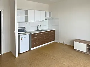 Pronájem bytu 1+kk, Brno, Oblá, 32 m2