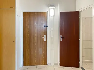 Pronájem bytu 1+kk, Brno, Oblá, 32 m2