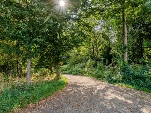 Prodej pozemku pro bydlení, Orlová, 3538 m2