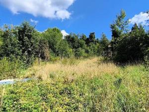 Prodej rodinného domu, Dalovice, U Hřbitova, 289 m2