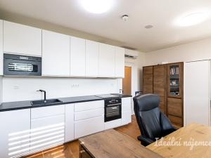 Pronájem bytu 1+kk, Praha - Vinohrady, Perucká, 26 m2