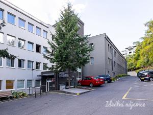 Pronájem bytu 1+kk, Praha - Vinohrady, Perucká, 26 m2