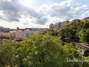 Pronájem bytu 1+kk, Praha - Vinohrady, Perucká, 26 m2