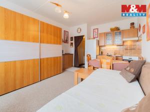 Prodej bytu 1+kk, Cheb, Přátelství, 24 m2