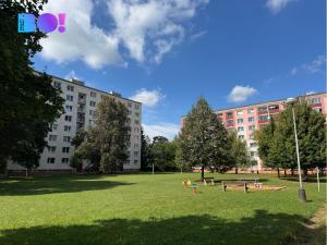 Prodej bytu 3+1, Přerov, Kosmákova, 74 m2