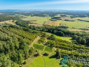 Prodej sadu/vinice, Lhenice, 3239 m2