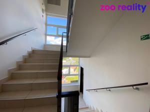 Prodej bytu 3+kk, Praha, Františka Diviše, 66 m2