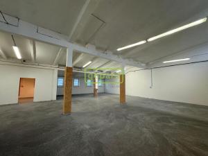 Pronájem výrobních prostor, Líšnice, 190 m2