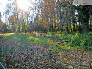 Prodej rodinného domu, Bravantice, 466 m2