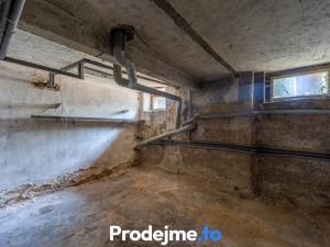 Prodej vícegeneračního domu, Chomutov, Pionýrů, 329 m2
