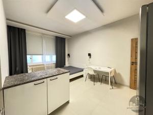 Pronájem bytu 1+kk, Praha - Karlín, Sokolovská, 33 m2