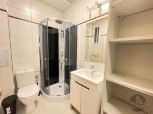 Pronájem bytu 1+kk, Praha - Karlín, Sokolovská, 33 m2