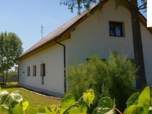 Prodej vícegeneračního domu, Hrušovany nad Jevišovkou, Drnholecká, 195 m2