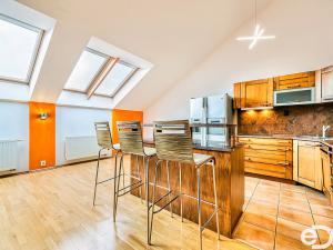 Pronájem bytu 4+kk, Brno - Veveří, Veveří, 133 m2