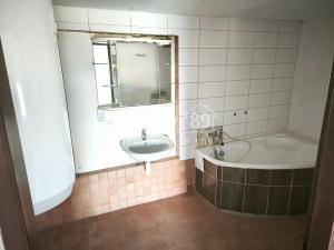 Prodej vícegeneračního domu, Dřínov, 227 m2