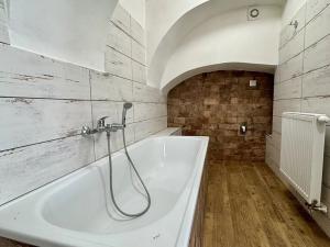 Pronájem bytu 1+kk, Studená, nám. Sv. J. Nepomuckého, 28 m2