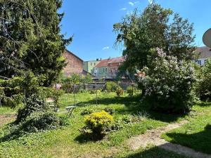 Pronájem bytu 1+kk, České Budějovice, Lipenská, 24 m2