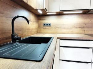 Pronájem bytu 1+kk, Jablonec nad Nisou - Kokonín, Krkonošská, 36 m2