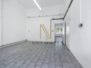 Pronájem komerční nemovitosti, Plzeň, Denisovo nábřeží, 71 m2