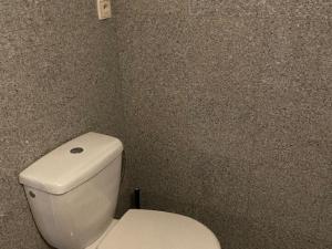Pronájem bytu 1+kk, Praha - Vysočany, Freyova, 18 m2