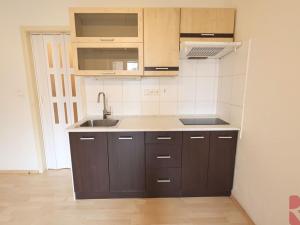 Pronájem bytu 1+kk, Praha - Nusle, Sdružení, 28 m2