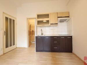 Pronájem bytu 1+kk, Praha - Nusle, Sdružení, 28 m2