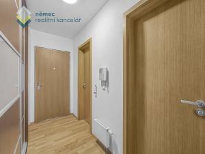 Pronájem bytu 1+kk, Praha - Karlín, Křižíkova, 48 m2