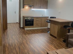 Pronájem bytu 1+kk, Ostrov - Horní Žďár, 28 m2