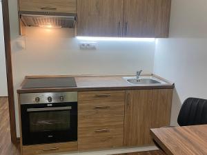 Pronájem bytu 1+kk, Ostrov - Horní Žďár, 28 m2