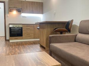 Pronájem bytu 1+kk, Ostrov - Horní Žďár, 28 m2