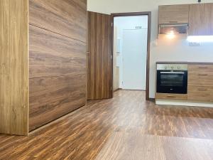 Pronájem bytu 1+kk, Ostrov - Horní Žďár, 28 m2
