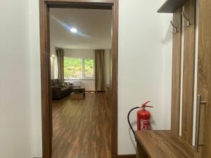 Pronájem bytu 1+kk, Ostrov - Horní Žďár, 28 m2