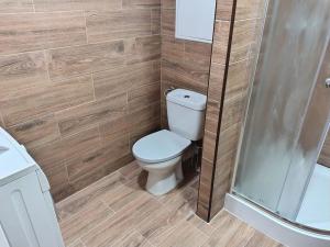Pronájem bytu 3+1, Teplice, Pražská, 68 m2