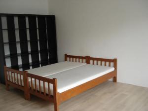 Pronájem bytu 1+1, Brno, Francouzská, 43 m2
