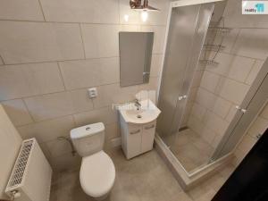 Pronájem bytu 2+1, Aš, Anglická, 65 m2