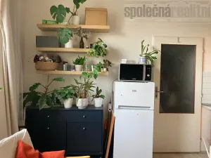 Pronájem bytu 1+kk, Praha - Holešovice, Tusarova, 30 m2
