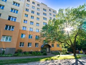 Prodej bytu 3+1, Havířov - Podlesí, Škroupova, 63 m2