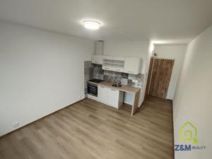 Pronájem bytu 1+kk, Chodov, Čapkova, 20 m2
