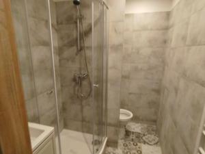 Pronájem bytu 1+kk, Chodov, Čapkova, 20 m2