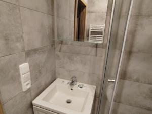Pronájem bytu 1+kk, Chodov, Čapkova, 20 m2