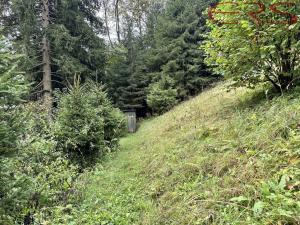 Prodej chaty, Zlatá Olešnice - Stanový, 35 m2