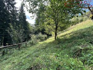 Prodej chaty, Zlatá Olešnice - Stanový, 35 m2