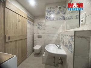 Pronájem bytu 2+kk, České Budějovice - České Budějovice 2, Labská, 39 m2