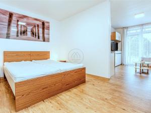 Prodej bytu 1+kk, Lipno nad Vltavou, 41 m2