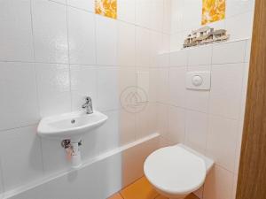 Prodej bytu 1+kk, Lipno nad Vltavou, 41 m2