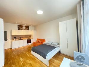 Pronájem bytu 1+kk, Praha - Nové Město, Ječná, 34 m2