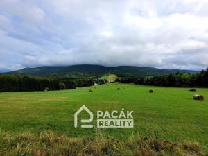 Prodej bytu 1+kk, Ostružná - Ramzová, 36 m2