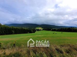 Prodej apartmánu, Ostružná - Ramzová, 36 m2