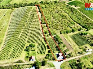 Prodej vinného sklepa, Perná, 31 m2